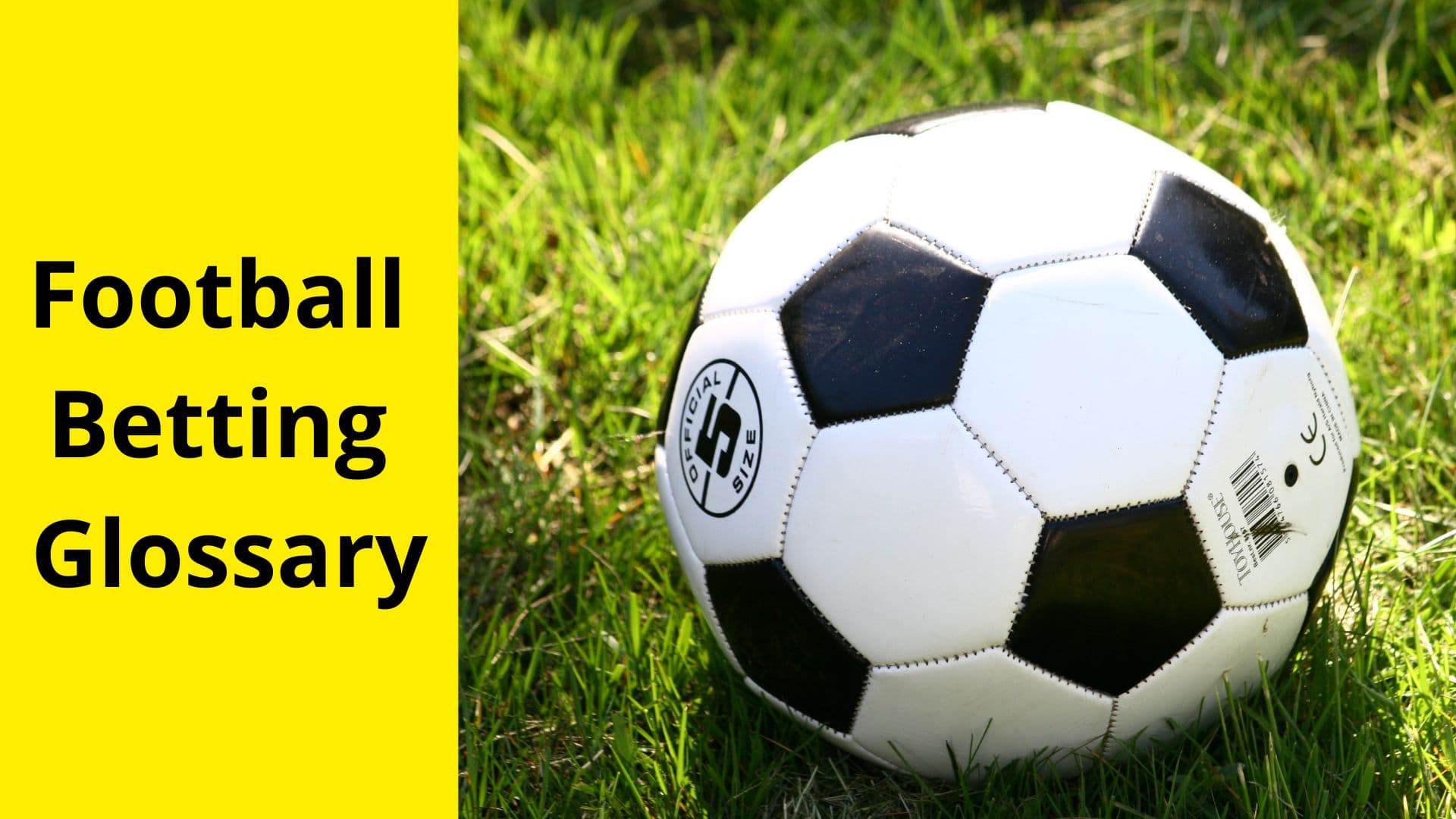 How to bet on Football Glossary: Understanding Betting Regulations image